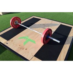 Armortech V2 Competition Bumper Single 10kg -25kg