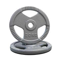 Olympic Hammertone Plate Single 1.25kg - 20kg