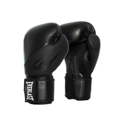 Everlast Ex Boxing Glove 16oz